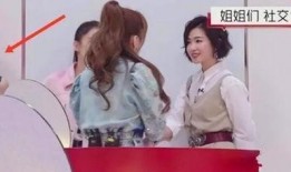 昔恩和姐妹互相爆料视频,昔恩姐妹视频揭秘幕后真相
